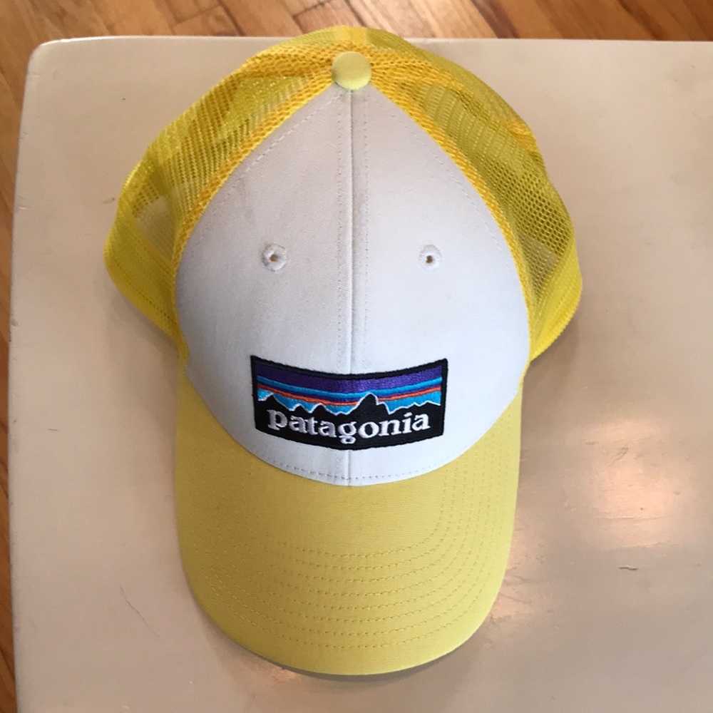 Patagonia hat